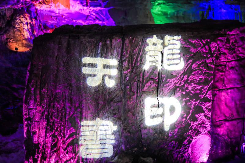 救援鹦鹉